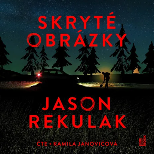 Skryté obrázky - Jason Rekulak - audiokniha