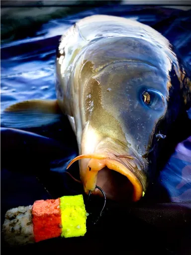 LK Baits Nástraha CUC! - Karamel 40g,LK Baits Nástraha CUC! - Karamel 40g