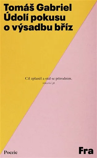 Údolí pokusu o výsadbu bříz - Tomáš Gabriel