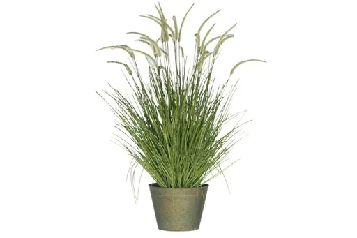 Okrasná tráva v květináči - Ø60*114cm J-Line by Jolipa