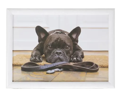 Podnos na nohy s buldočkem French Bulldog humour - 43*33*7cm Mars & More