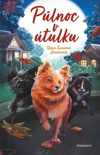 Půlnoc v útulku - Nanci Turner Steveson