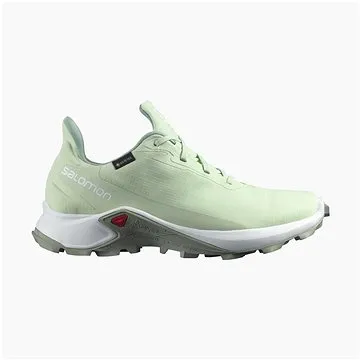 Salomon Alphacross 3 GTX W Spray/Wht/Wroug (SPTsal1131nad)