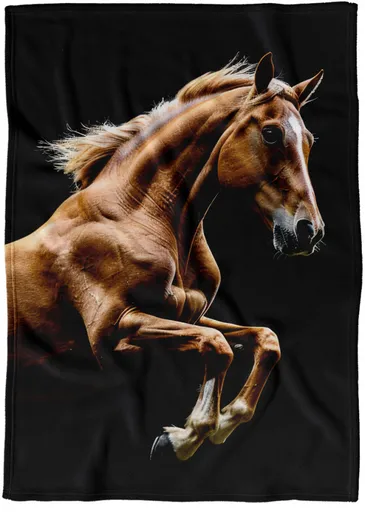 Deka Hnědý kůň (Podšití beránkem: NE)