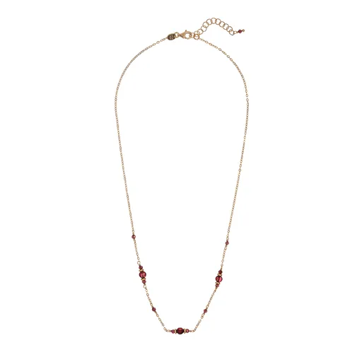Alisia Pozlacený náhrdelník s granátem AL4266-Oro-Granato