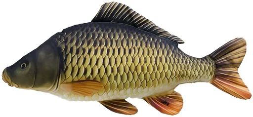 Gaby Polštář Kapr šupináč 64 cm,Gaby Polštář Kapr šupináč 64 cm