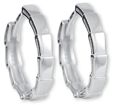 Soliter Nadčasové stříbrné náušnice 431 001 02818 04