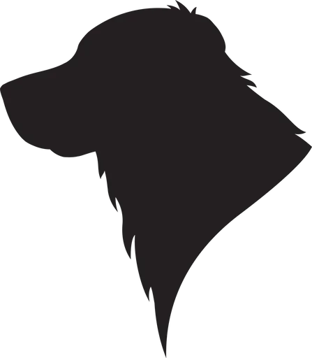 Vsepropejska Zlatý retrívr 3 dřevěná dekorace na zeď Rozměr (cm): 38 x 33