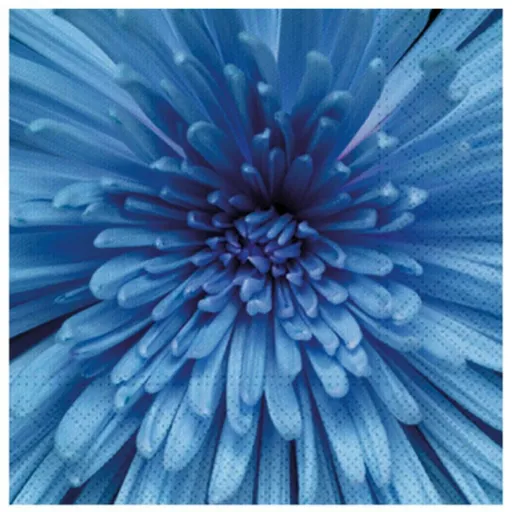 Ubrousek P 33x33 celorok SDL897005