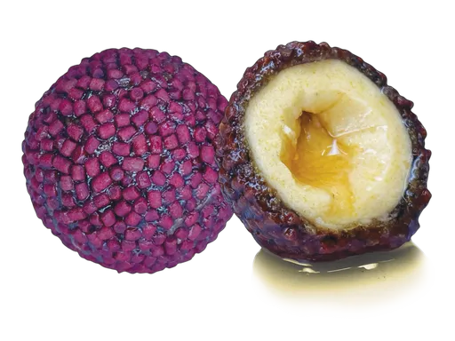 Lk baits boilie nutrigo pellets red halibut - 20 mm 200 ml