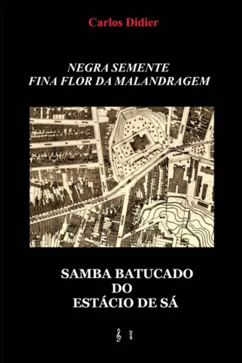 Negra semente, fina flor da malandragem - Carlos de Vasconcellos Didier