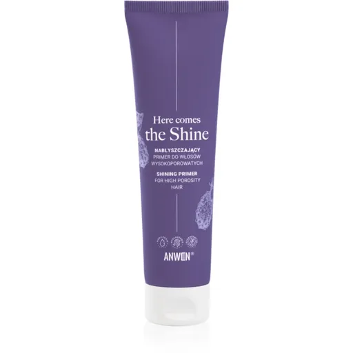 Anwen Here Comes The Shine Shining Primer For High Porosity Hair podkladová báze na vlasy 100 ml