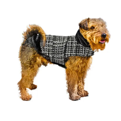 Psí kabátek Skotty, velký
