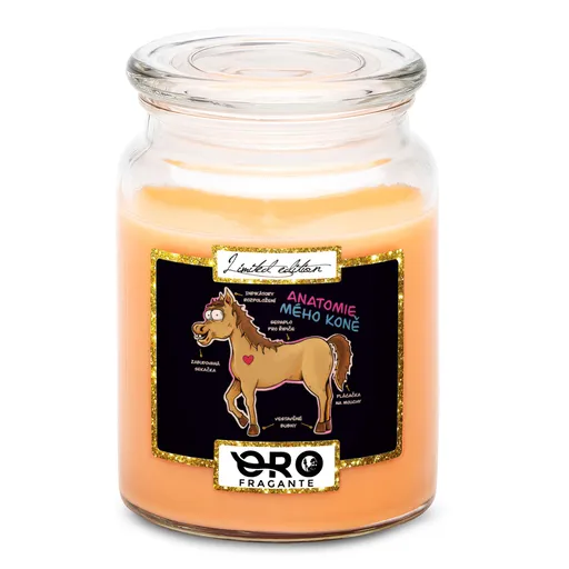 Svíčka Anatomie mého koně (Vůně svíčky: Tropické ovoce)