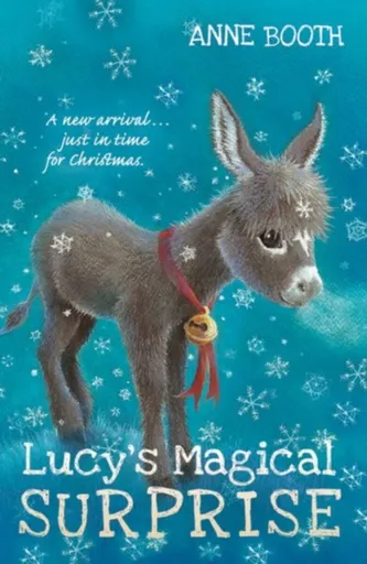 Lucy's Magical Surprise - Anne Bootheová