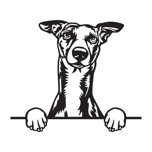 Vsepropejska Whippet 2 dřevěná dekorace na zeď Rozměr (cm): 38 x 26