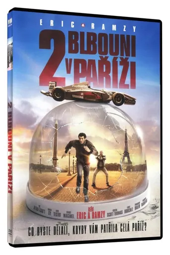 2 blbouni v Paříži (DVD)