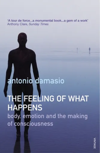 The Feeling Of What Happens - Antonio Damasio