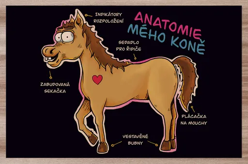 Prostírání Anatomie mého koně