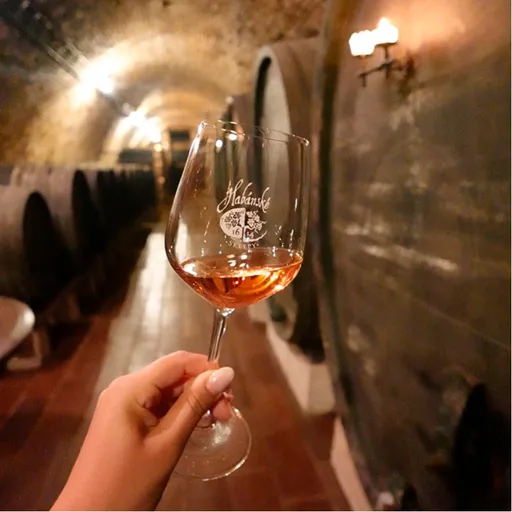 Speciální prohlídka Habánských sklepů s degustací 6 vzorků - elektronická poukázka