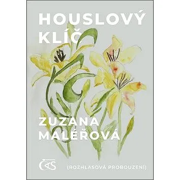 Houslový klíč: (Rozhlasová probouzení) (978-80-7475-299-5)