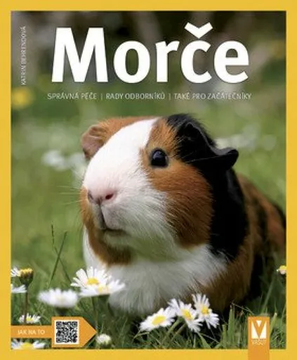 Morče - Katrin Behrendová