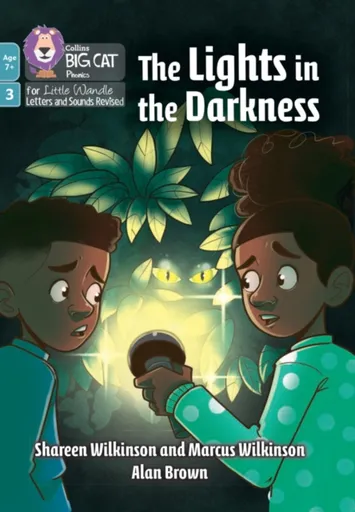 The Lights in the Darkness - Shareen Wilkinson, Marcus Wilkinson