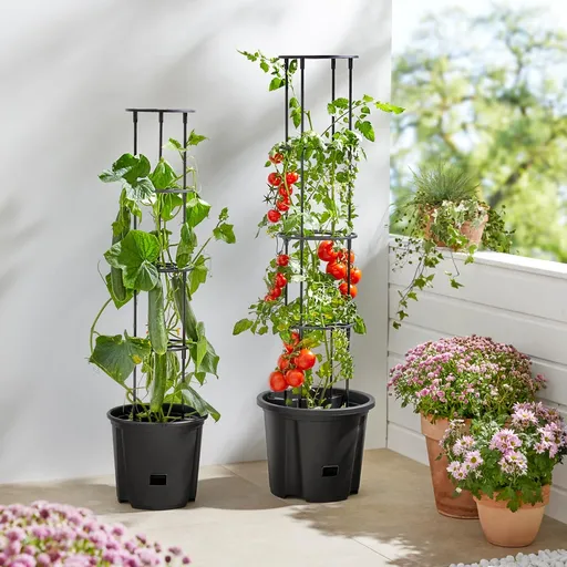 Die moderne Hausfrau Květináč na rajčata s oporou, velký