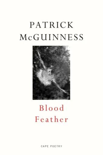 Blood Feather - Patrick McGuinness