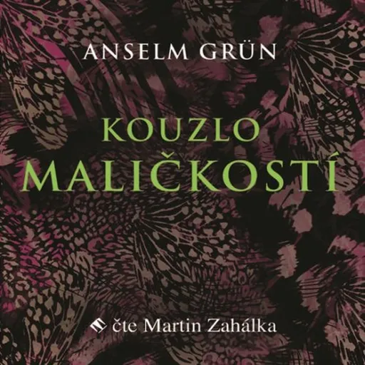 Kouzlo maličkostí - Anselm Grün - audiokniha