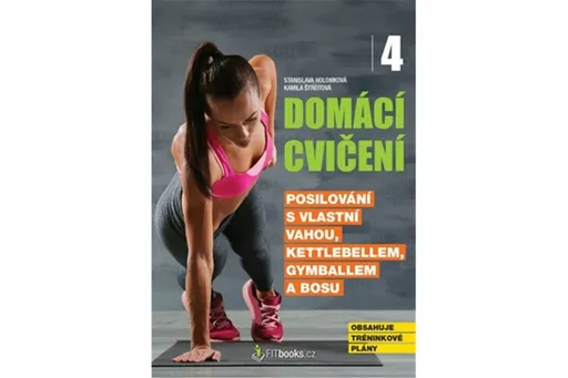 Domácí cvičení 4 - Stanislava Holomková, Kamila Štreitová