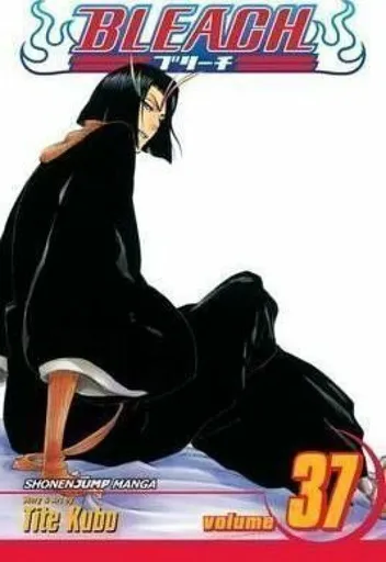 Bleach, Vol. 37 - Tite Kubo