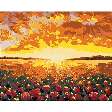 Zuty - Malování podle čísel - KVĚTINOVÉ POLE VE FRANCII, 80x100 cm, vypnuté plátno na rám (HRAmmb08279nad)