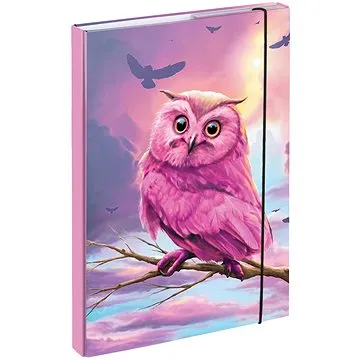 BAAGL Desky na školní sešity A4 Sova (8595689315993)