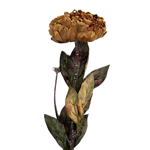 Béžovo-hnědá umělá dekorace sušená květina pivoňka - 10*10*65 cm Clayre & Eef