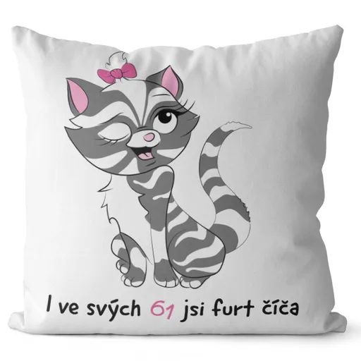 Polštář Jsi číča (Velikost: 40 x 40 cm, věk: 61)