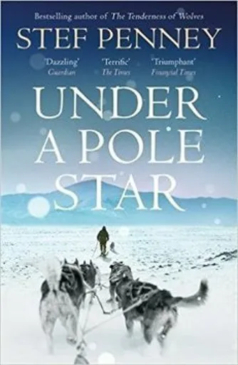 Under a Pole Star - Stef Penney