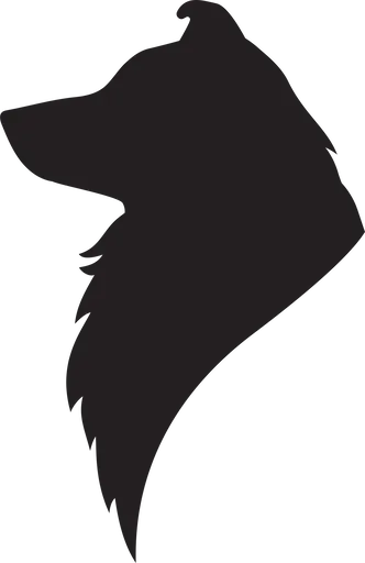 Vsepropejska Sheltie dřevěná dekorace na zeď Rozměr (cm): 38 x 25