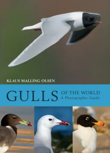 Gulls of the World - Klaus Malling Olsen