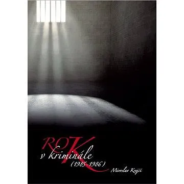 Rok v kriminále (978-80-860-6267-9)