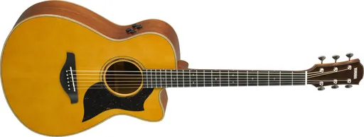 Yamaha AC5M ARE VNT