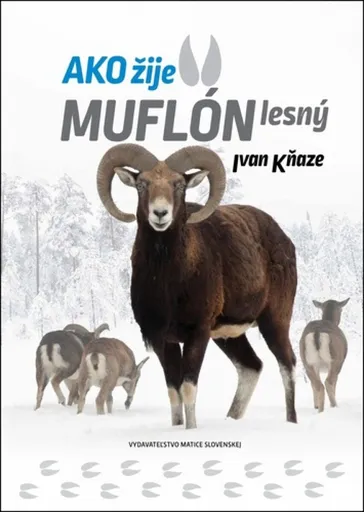 Ako žije muflón lesný - Ivan Kňaze