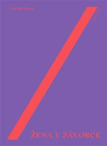 Žena v závorce - Ludvík Němec