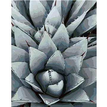 Diamondi - Diamantové malování - KAKTUS AGAVE, 40x50 cm, bez rámu a bez vypnutí plátna (606933A)