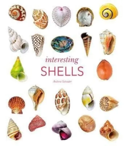 Interesting Shells - Andreia Salvador