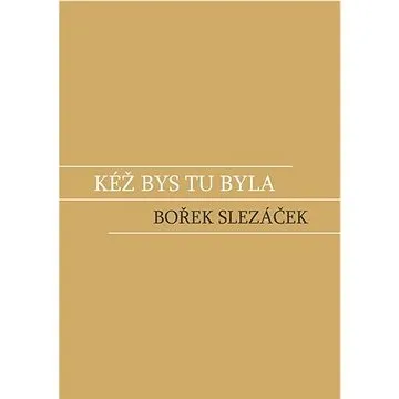 Kéž bys tu byla (978-80-265-1088-8)
