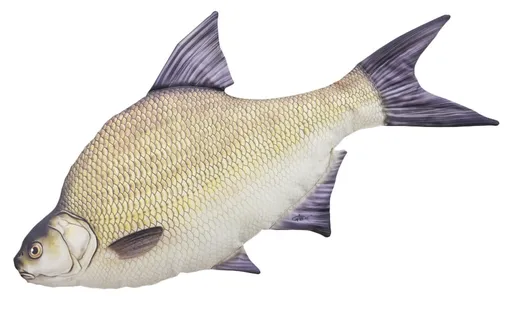 Gaby Polštář Cejn velký 65 cm,Gaby Polštář Cejn velký 65 cm