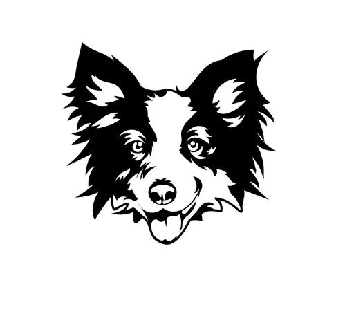 Vsepropejska Border kolie dřevěná dekorace na zeď Rozměr (cm): 35 x 34