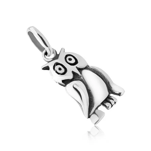 Přívěsek ze stříbra 925, patinovaná sova s gravírováním