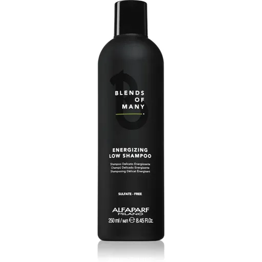 Alfaparf Milano Blends of Many Energizing energizující šampon pro jemné a zplihlé vlasy 250 ml